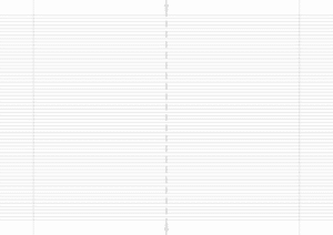 Lineatur 12 Steno a4 (2xA5 mit Rand grau